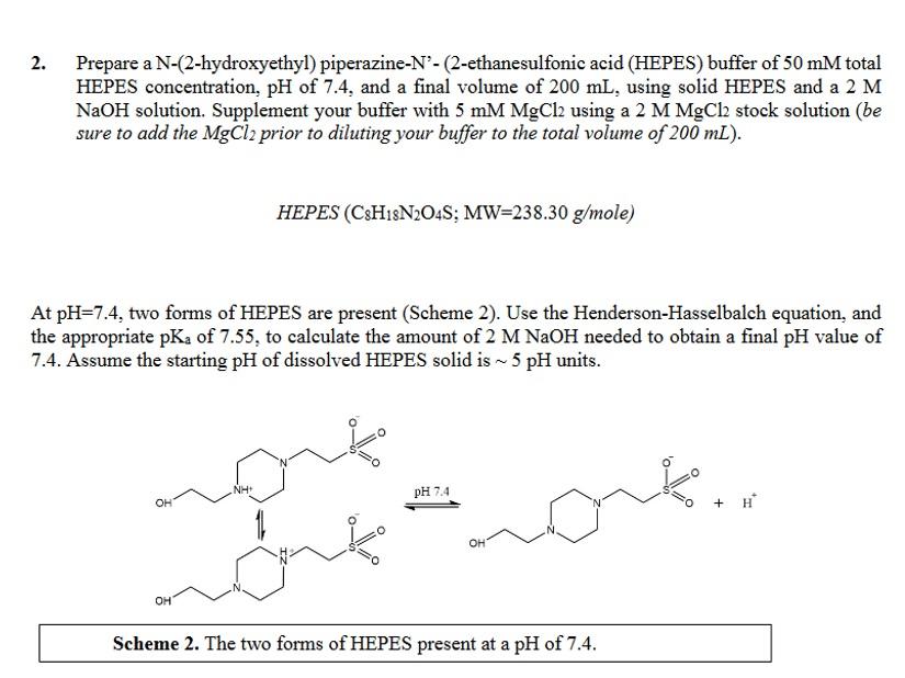 HEPES Buffer Solution (1 M) B35110: R&D Systems