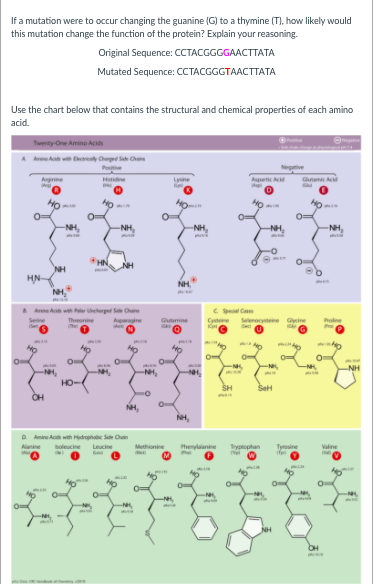 Solved If a mutation were to occur changing the guanine (G) | Chegg.com