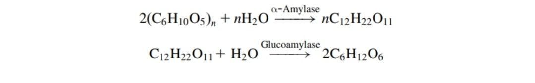 C6H10O5 n H2O: Phản Ứng Thủy Phân Tinh Bột và Xenlulozơ