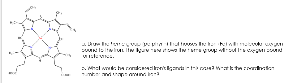 Solved a. Draw the heme group (porphyrin) that houses the | Chegg.com