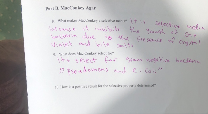 Solved Part B.MacConkey Agar 8. What Makes MacConkey A | Chegg.com