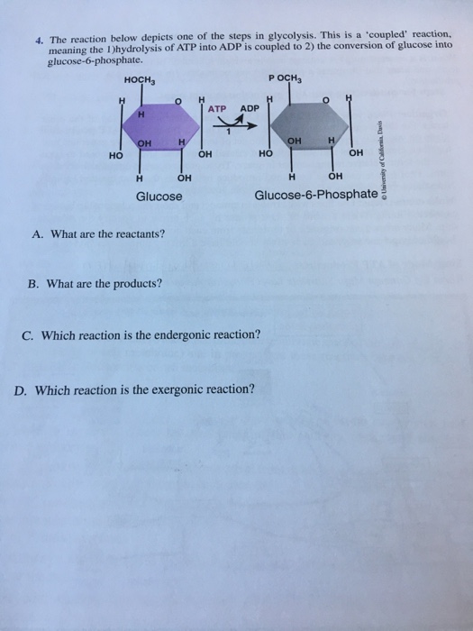 Solved 4. The reaction below depicts one of the steps in