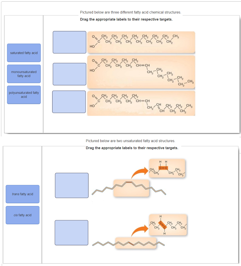 Solved Pictured Below Are Three Different Fatty Acid 5653