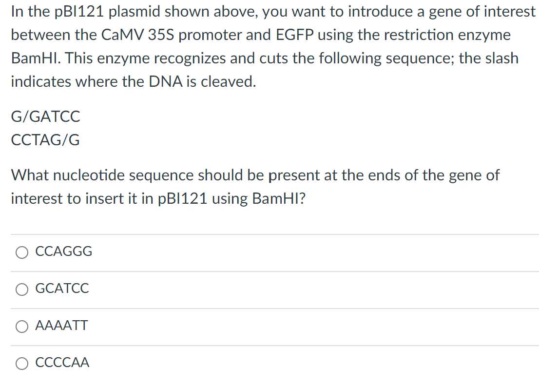 Solved In the pBI121 plasmid shown above, you want to | Chegg.com