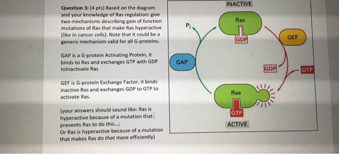 Solved INACTIVE Question 3: (4 pts) Based on the diagram and | Chegg.com