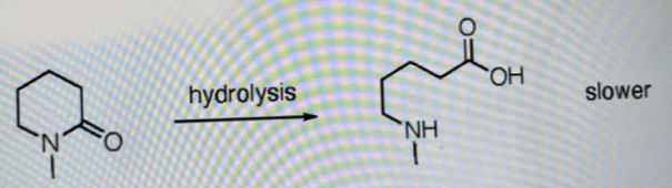 Solved Give an explanation why the top reaction occurs more | Chegg.com