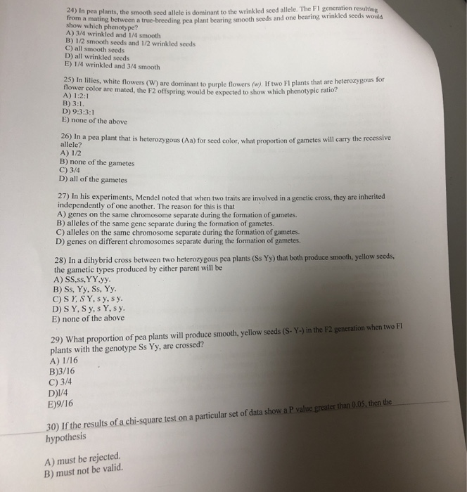 Solved 24) In pea plants, the smooth seed allele is dominant | Chegg.com