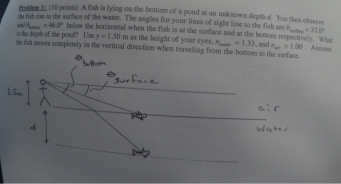 A fish is lying on the bottom of a pond at an unknown | Chegg.com
