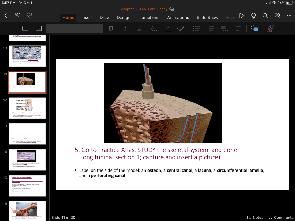 Solved 5:57 PM Fri Oct 1 34%