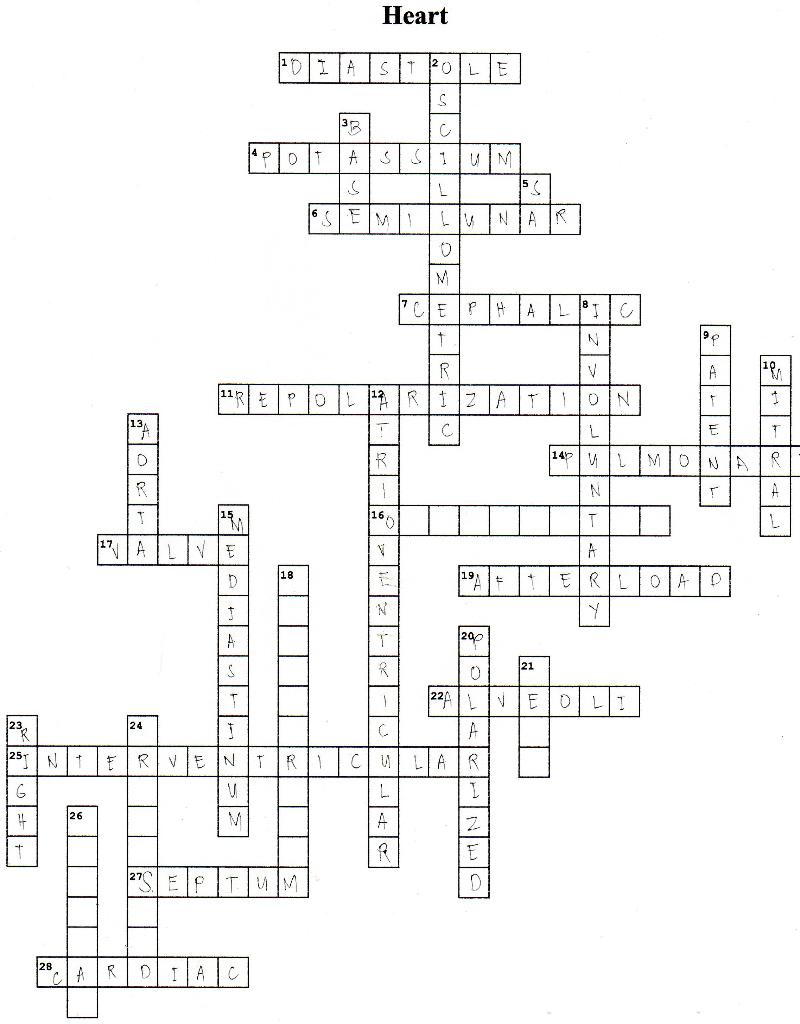 Solved Across 1 Another Name For Repolarization 4 Which Chegg