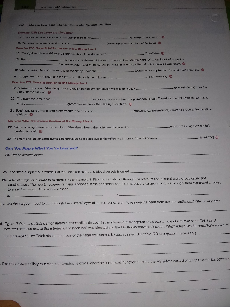 Solved Anatomy And Physiologyi 362 Chapter Seventeen The Chegg Solved Anatomy And Physiologyi 362 Chapter Seventeen The Chegg