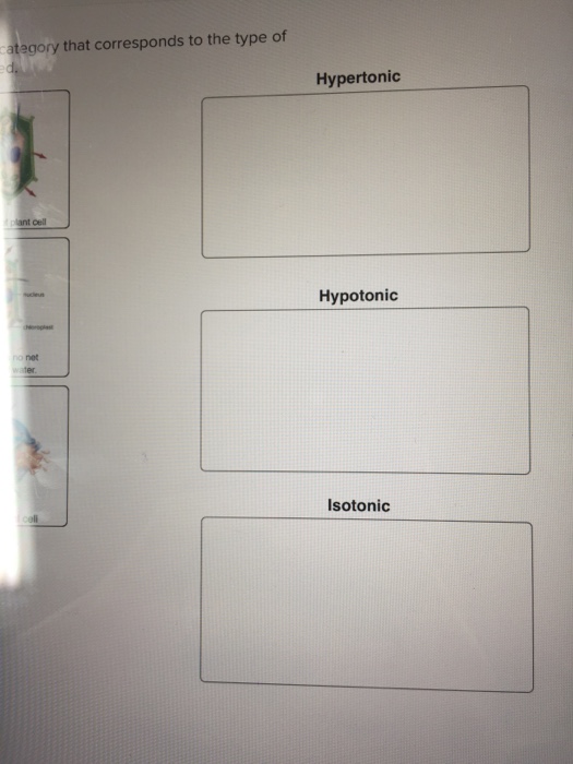Solved Place each of the figures in to the category that | Chegg.com