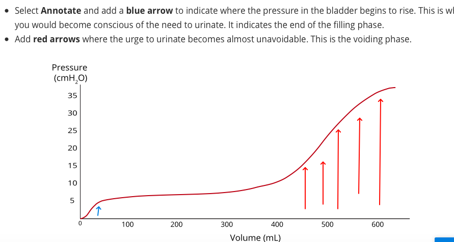 solved-select-annotate-and-add-a-blue-arrow-to-indicate-chegg