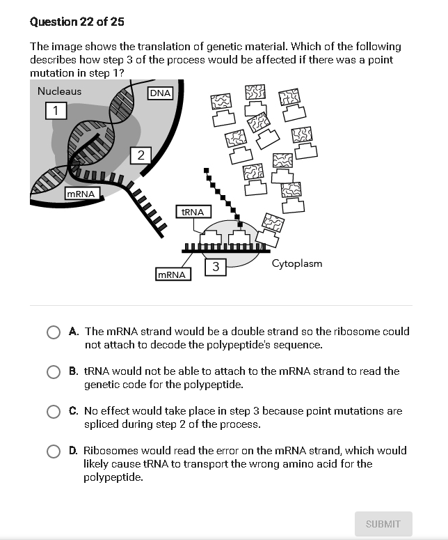 Solved Question 22 of 25 The image shows the translation of | Chegg.com
