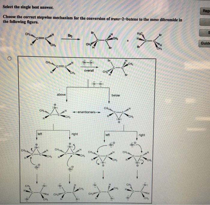 Solved Select The Single Best Answer Choose The Most Stable Chegg Com