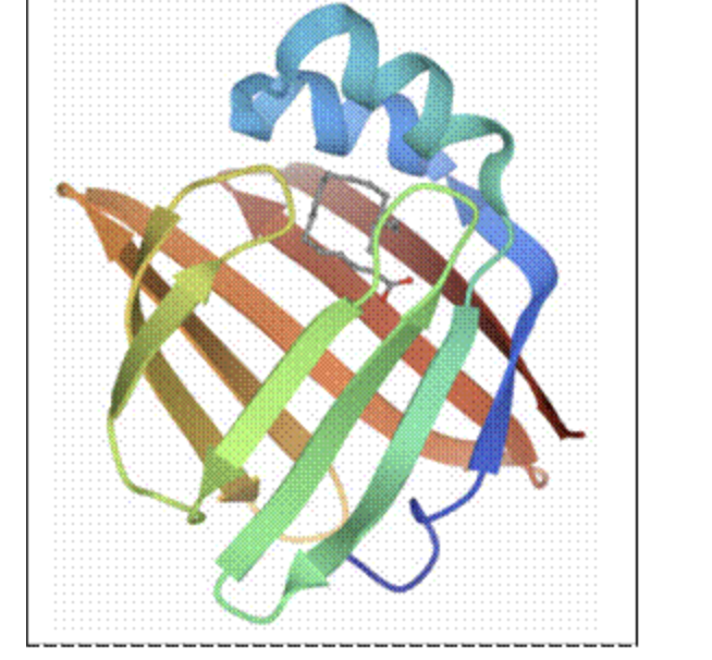 Solved Fatty acid binding protein (FABP) is a water-soluble | Chegg.com