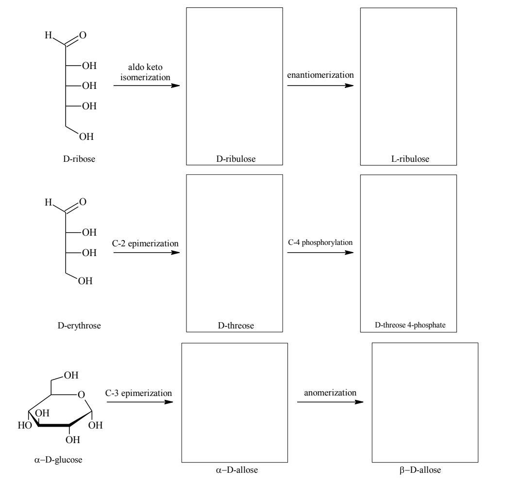 Solved H -ОН aldo keto isomerization enantiomerization -OH | Chegg.com