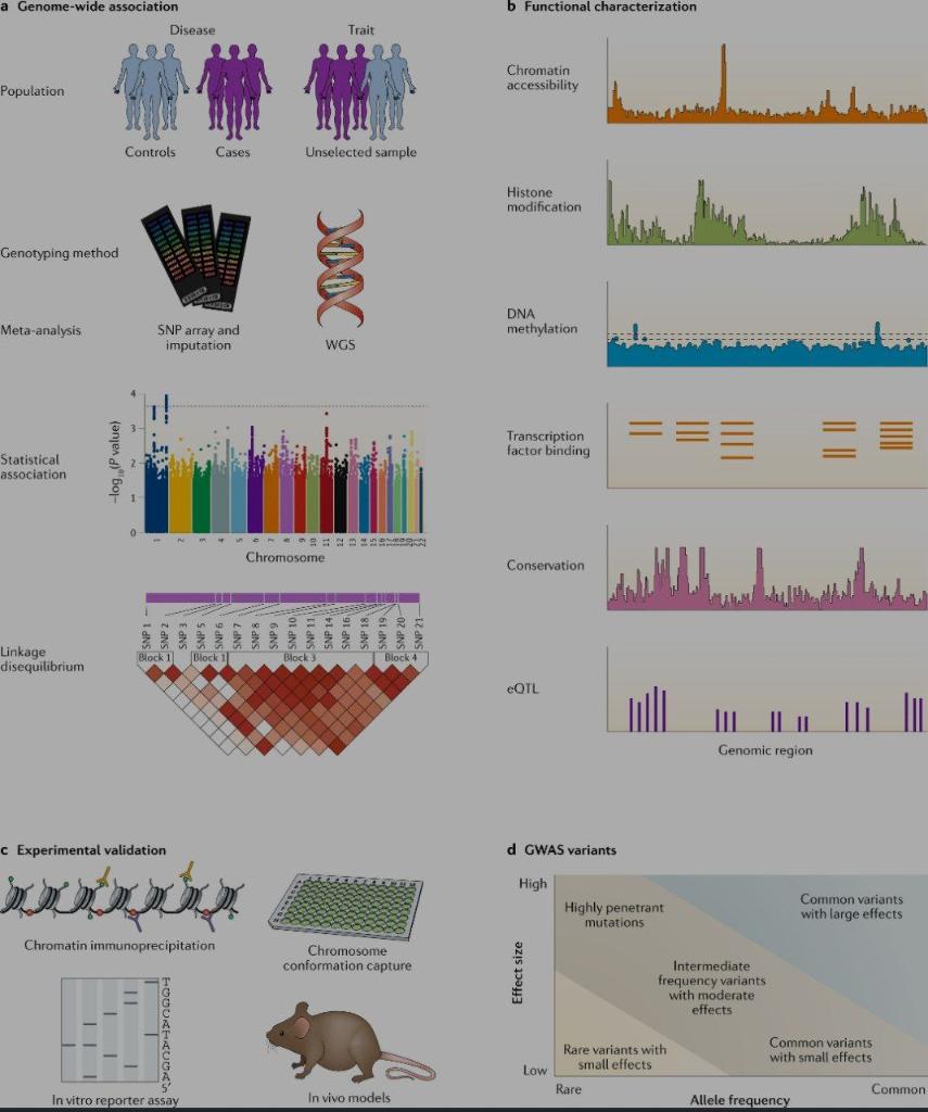 Solved b Functional characterization a Genome-wide | Chegg.com