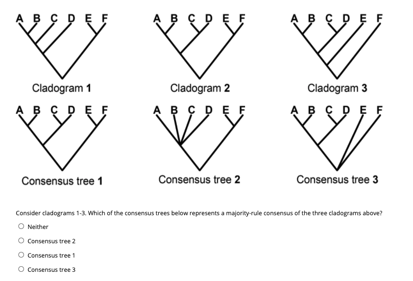 Majority-rule consensus tree reconstructed through BI based on the