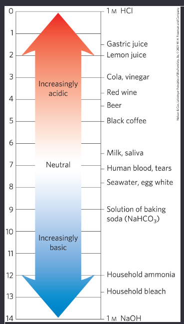 Solved 12. Simulated Vinegar One way to make vinegar is to | Chegg.com