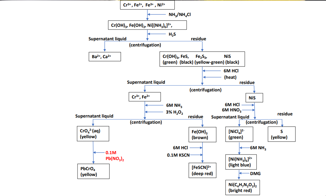 Solved Cr3+, Fe2+, Fe3+, Ni2+ NH,/NHẠC Cr(OH)3, Fe(OH)2, | Chegg.com