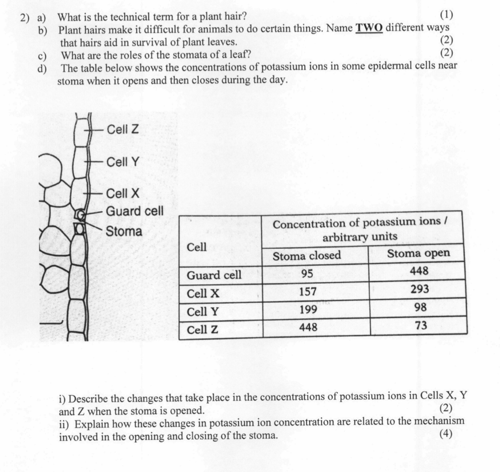 solved-2-a-what-is-the-technical-term-for-a-plant-hair-chegg