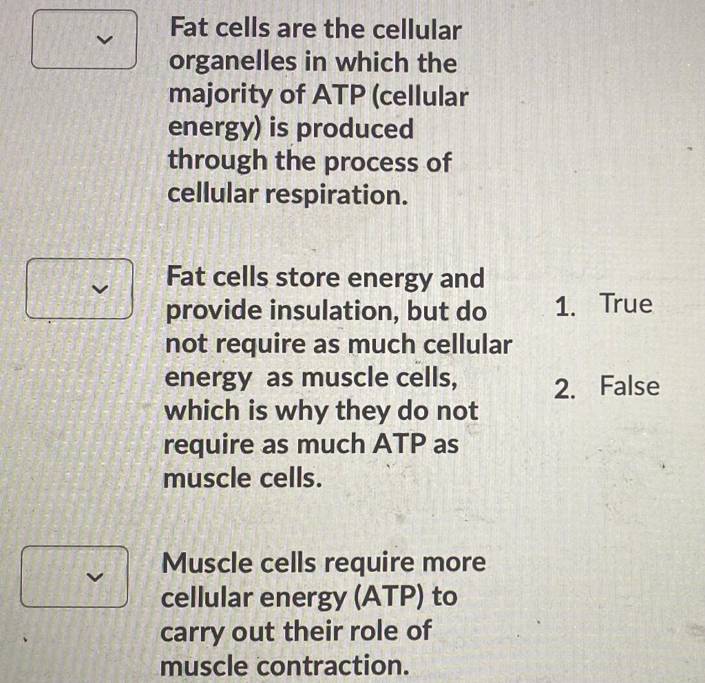 Solved Fat Cells Are The Cellular Organelles In Which The 