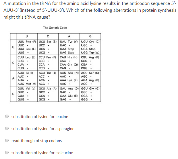 Solved A mutation in the tRNA for the amino acid lysine | Chegg.com