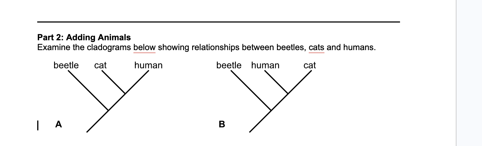 Solved Draw two separate cladograms below both showing the Chegg com