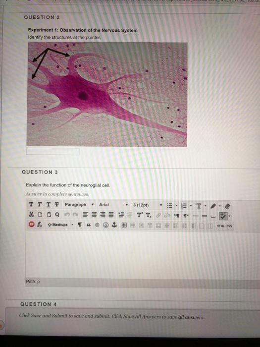 Solved QUESTION 2 Experiment 1: Observation of the Nervous | Chegg.com