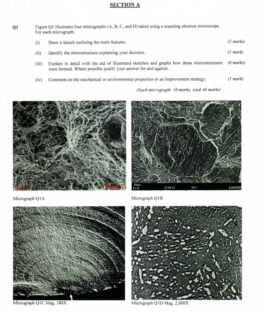 SE ON Figure Q1 Illustrates Four Micrographs (A, B, | Chegg.com