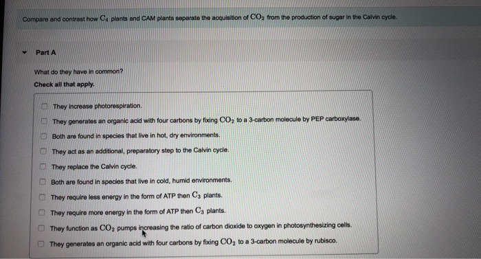 Solved Compare and contrast how C4 plants and CAM plants | Chegg.com