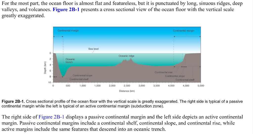 Ocean Floor Profile Diagram Review Home Co