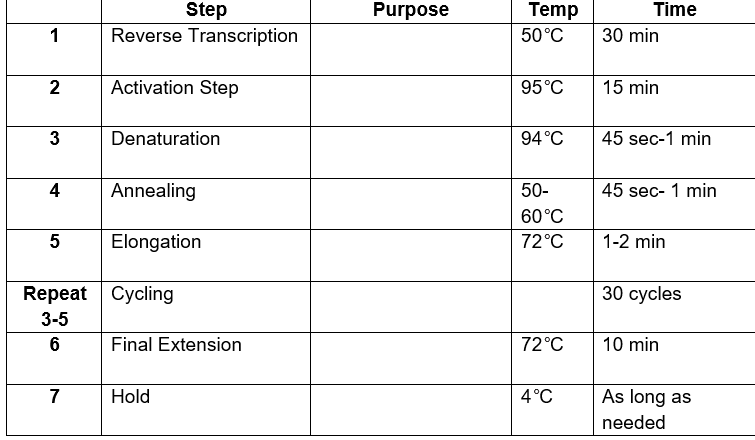 Solved Fill out the purpose of each step in the RT-PCR | Chegg.com