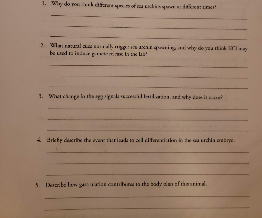 Solved 1. Why do you think different species of sea urchins | Chegg.com