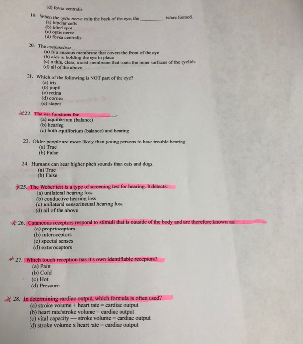 Loss Of Knee Reflex - Human Anatomy