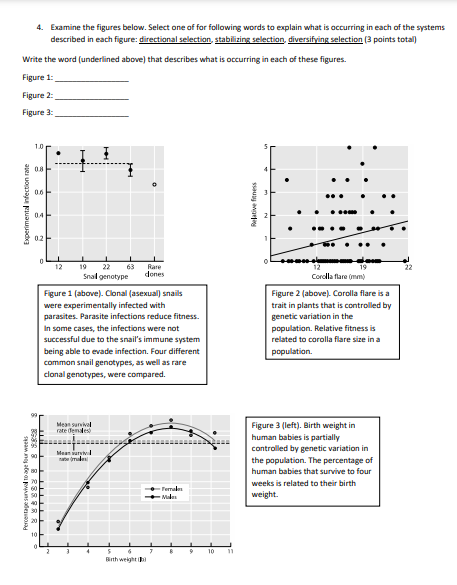 Solved 4. Examine the figures below. Select one of for | Chegg.com