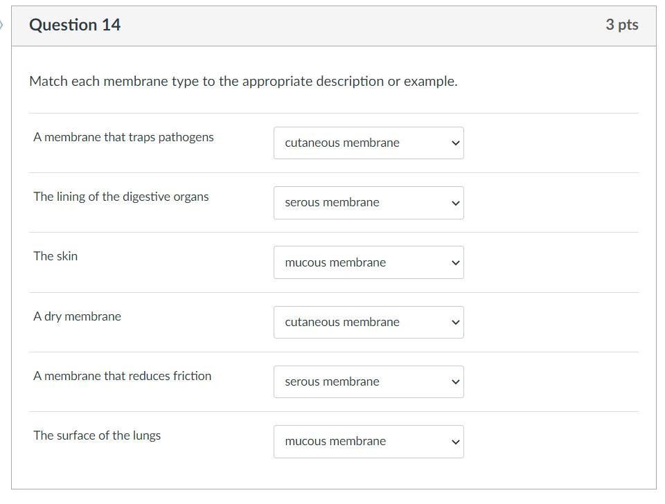 Match each membrane type to the appropriate description or example.
A membrane that traps pathogens
The lining of the digesti