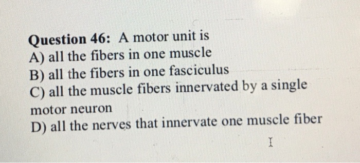 Solved Question 46: A motor unit is A) all the fibers in one | Chegg.com