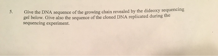 Solved 5. Give the DNA sequence of the growing chain | Chegg.com