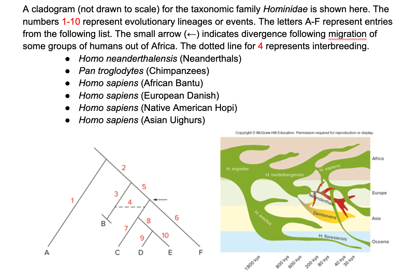 A cladogram (not drawn to scale) for the taxonomic | Chegg.com