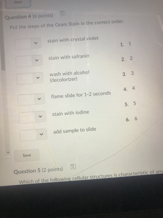 Solved Save Question 4 (6 points) Put the steps of the Gram | Chegg.com