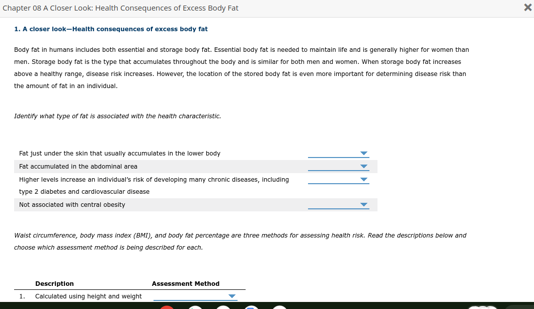 Why You Shouldn't Trust the Scale: How Body Fat Affects Your Appearance and  Health, by TheSlimsons