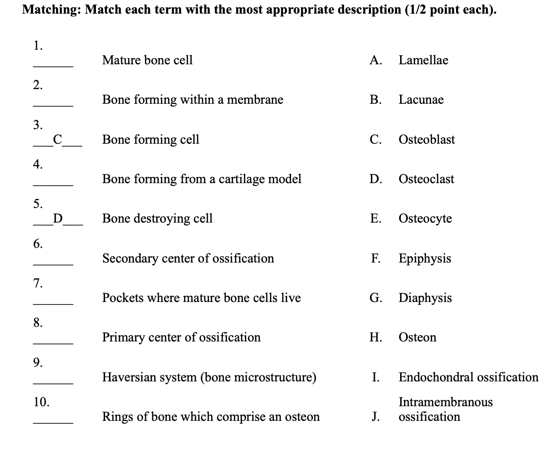 Solved Matching: Match each term with the most appropriate | Chegg.com