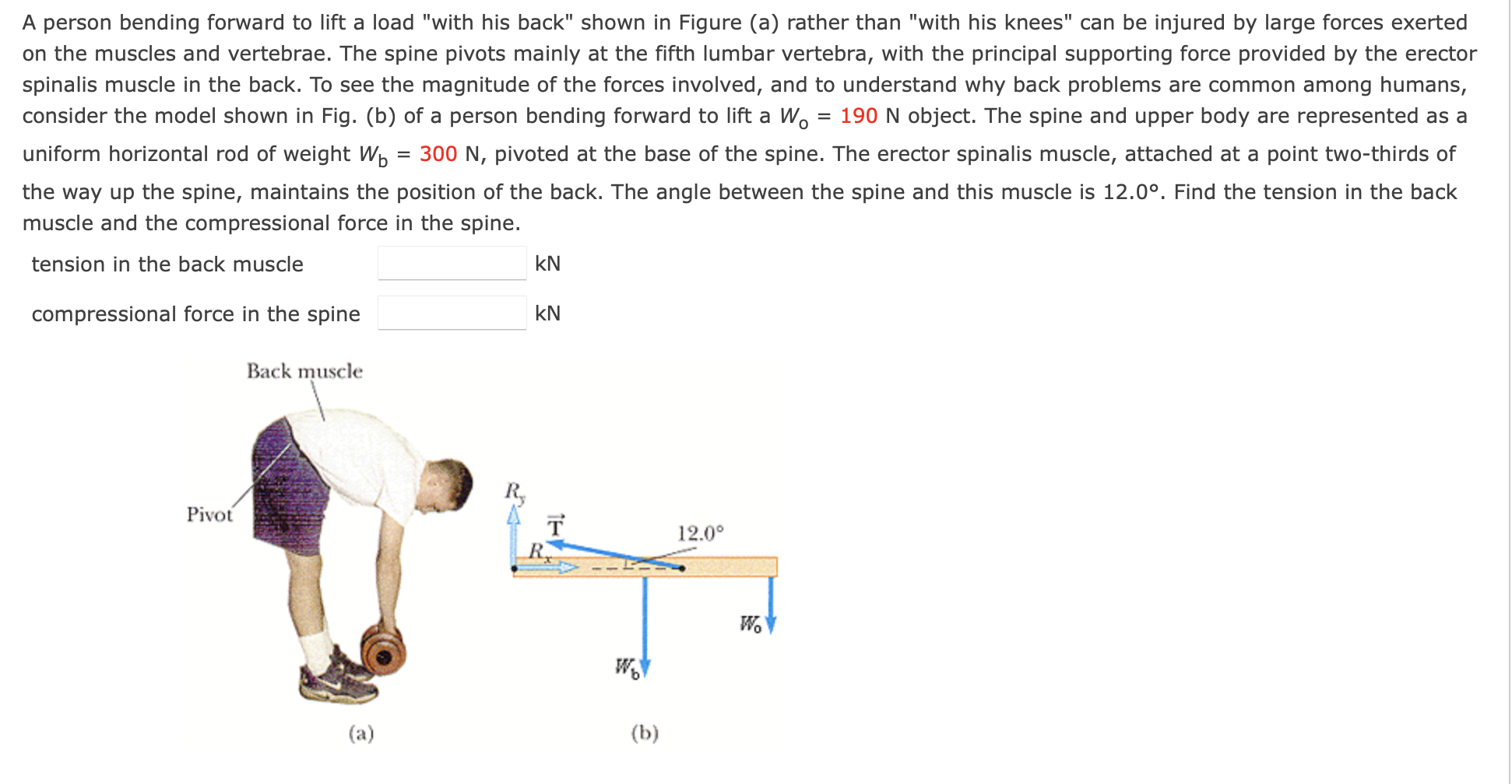 solved-a-person-bending-forward-to-lift-a-load-with-his-chegg