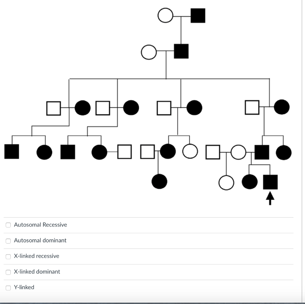 Solved Autosomal Recessive Autosomal dominant X-linked | Chegg.com