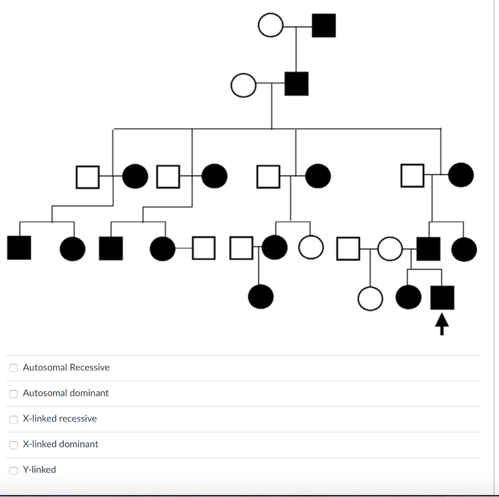 Autosomal Recessive Autosomal dominant X-linked recessive X-linked dominant Y-linked