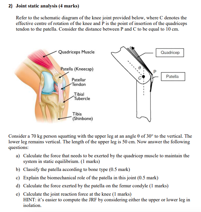 2) Joint static analysis (4 marks) Refer to the | Chegg.com