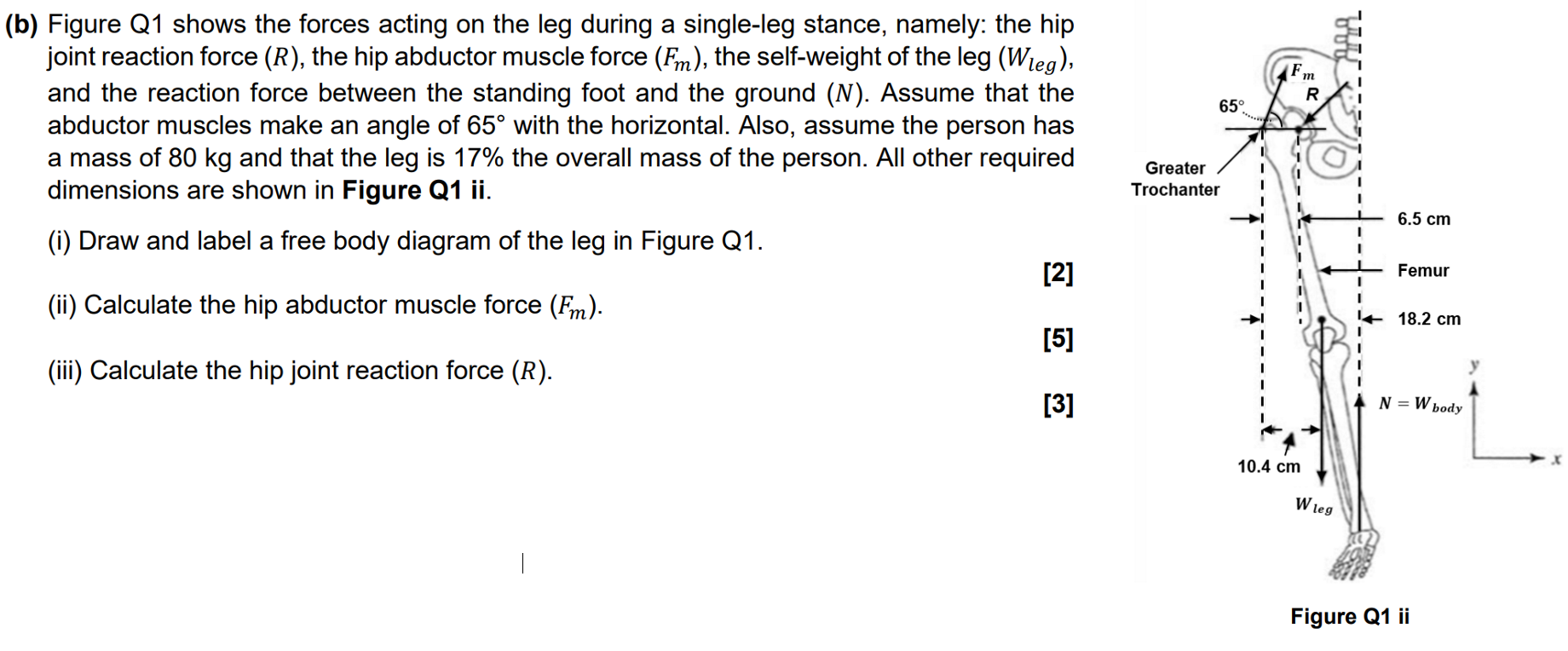 Please actually help me solve this question (b) | Chegg.com