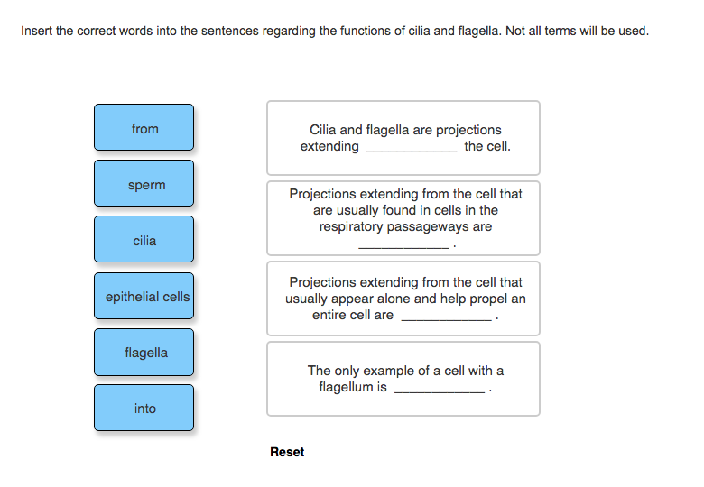 Sentence With The Word Cell Membrane